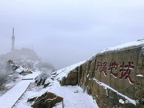 2019,开门迎雪,福从天降