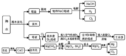 什么叫反应过程中的质量比