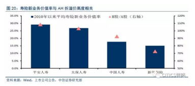 新华保险的总体概念