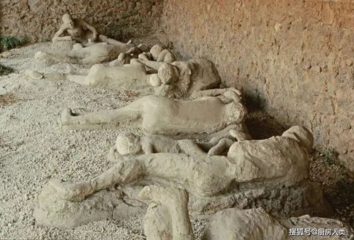 2000年前死于火山喷发遗骸被发现 女大学生黄某某遗骸被发现，她为何要孤身一人去可可西里？ 