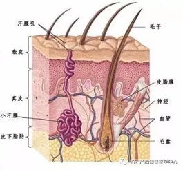 满月汗,发还是不发