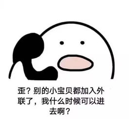 外联公司是做什么的