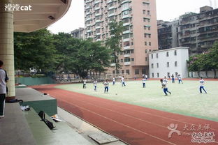 广州三中是第几梯队的 广州市第十七中学高中部和广州市第三中学高中部哪个好