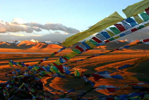 诸暨西藏旅游景点有哪些,诸暨哪里有好玩的旅游景点？