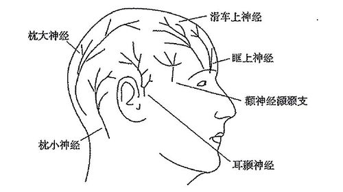 没有外科的配合,再好的麻醉设计也用不出来 记一次艰难的头皮神经阻滞