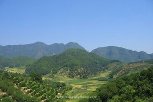 风水大师王兆平,揭秘家居风水布局