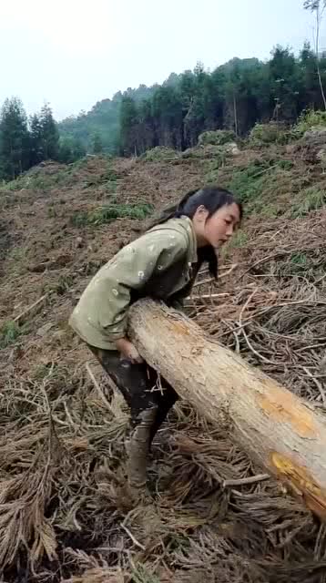 搬木头的女人,生活不易 