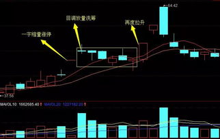 无量一字涨停意味着什么?