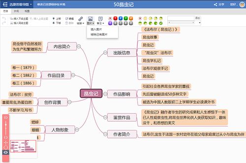 昆虫记思维导图模板分享