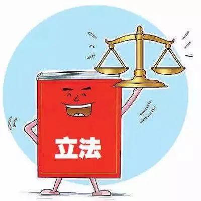 公民如何参与到立法当中