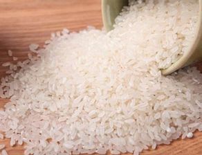 白米可以代替猫砂吗,大米替代猫砂使用 