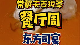 赤霞橙光黏黏の蜂巢蜜 小狮子马卡龙 QQ糖 汉堡软糖 薯片 蜡瓶糖 橙子糖 琥珀糖