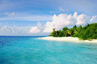 【马尔代夫五星岛七天六晚】超值报价，让你畅享海岛之旅