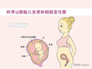 怀孕12周摔倒了，未流血对宝宝会有影响吗