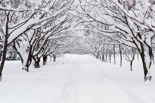 图像模式怎么弄好看的图片，把雪景照片修得有温度更漂亮(图像模式是什么意思)