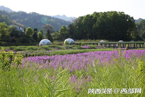 陕西安康石泉饶峰镇