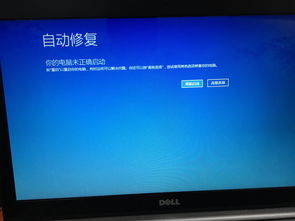 win10电脑动态桌面p软件