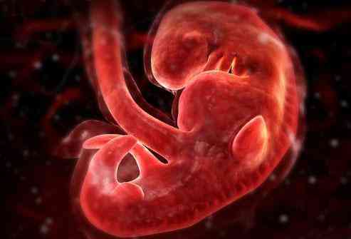 图揭 胎儿怎样在母体内生长的