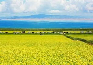 重磅 茶卡盐湖对浙江人免门票啦 现在风景正美出天际 杭城宝宝趁人少赶紧去