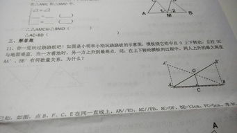 数学初二上三角形 