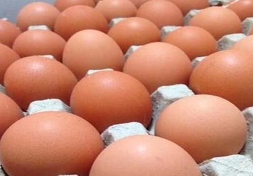不同价格鸡蛋的区别在哪里(不同价格的鸡蛋营养一样吗)