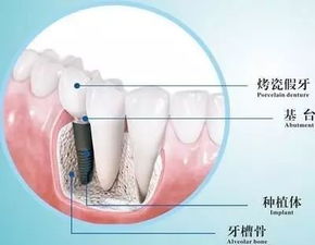 9月份,很多安康人都会去做这件事 