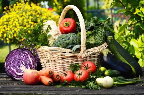 在储存蔬菜水果时，需要避免潮湿环境，避免食品腐烂。 
