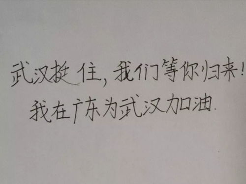 错失目标的意思解释词语;辜负不负有心人的意思？