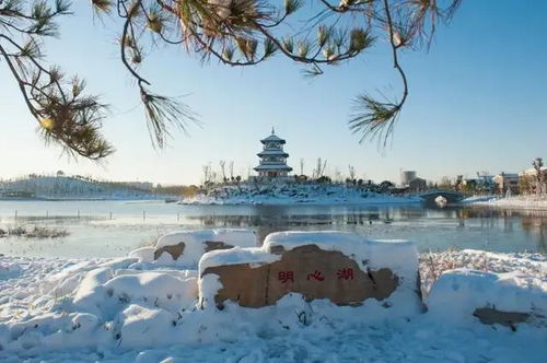 等一场雪 邂逅最美的泰安