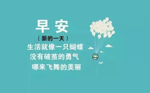 励志阳光文案短句;体育励志反超文案短句干净？