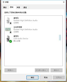 win10设置usb麦克风没声音