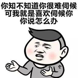 哄女朋友必备表情包在这里哦 搜狐其它 搜狐网 