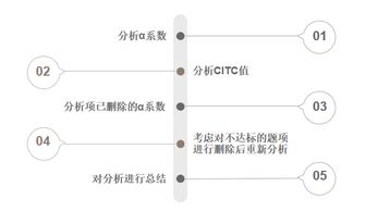 毕业论文spss信度效度