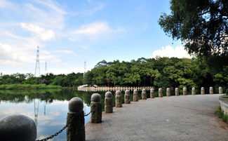 深圳东湖公园,深圳东湖公园在哪里？
