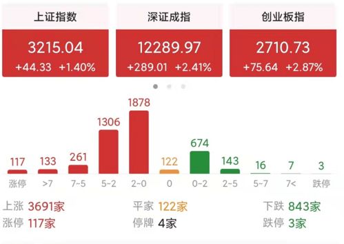 为什么会出现回调反弹的情况