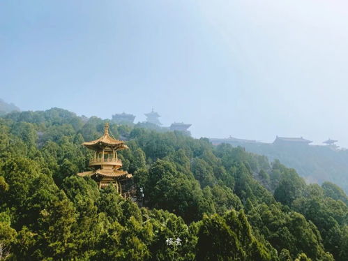 太原太山在哪要门票吗 (太原太山景区停车场免费吗)