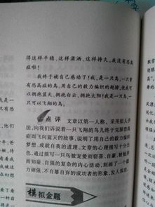 阅读曾让我感动 800字作文 求解救 