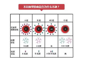 古代的滴血验亲是什么原理 真的有用吗