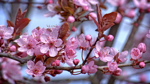 5月23日星座运势 锋芒毕露,后来居上的四大星座