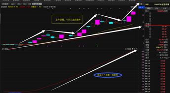 股票中回档需要量配合是什么意思？知道的朋友麻烦告知一下。谢谢