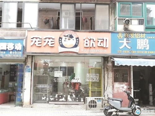 安庆店铺名称大玩 谐音梗 是创意还是误人子弟