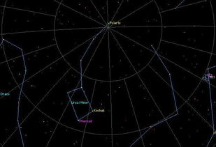 小熊星座 大熊星座 北极星 北斗七星,到底啥关系 