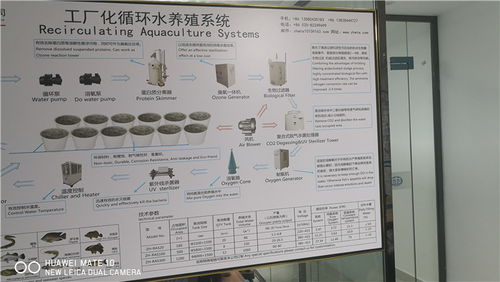 工厂化水产养殖设备报价 揭阳工厂化水产养殖设备 丰冀值得信赖 