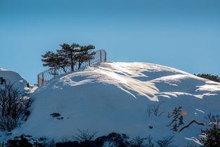 梦里黄山冬听雪