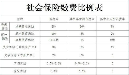 养老保险缴费公司与个人各交多少