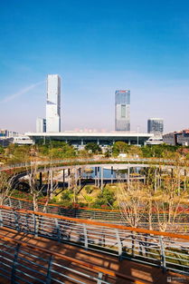 龙华终于有中心公园了 就在深圳北站,14个景点逛一整天