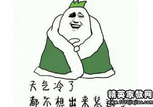 关于描写冬天的优美句子