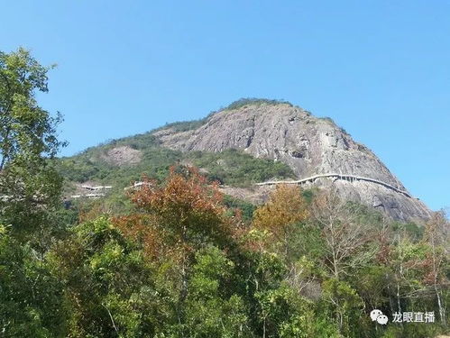 在茂名过假期,朋友们都去了哪里 这个 十一 不宅着