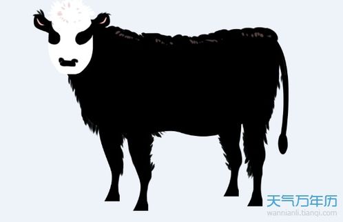 生肖牛不宜养什么 属牛的不能养什么动物