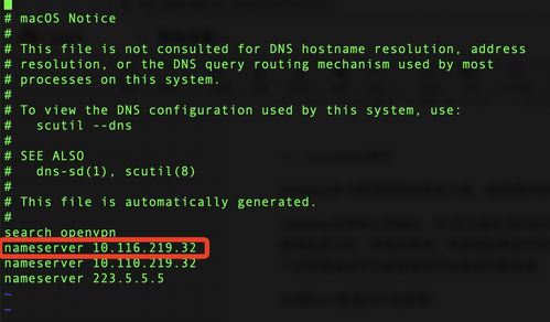 nslookup命令详解-怎么添加备用DNS？